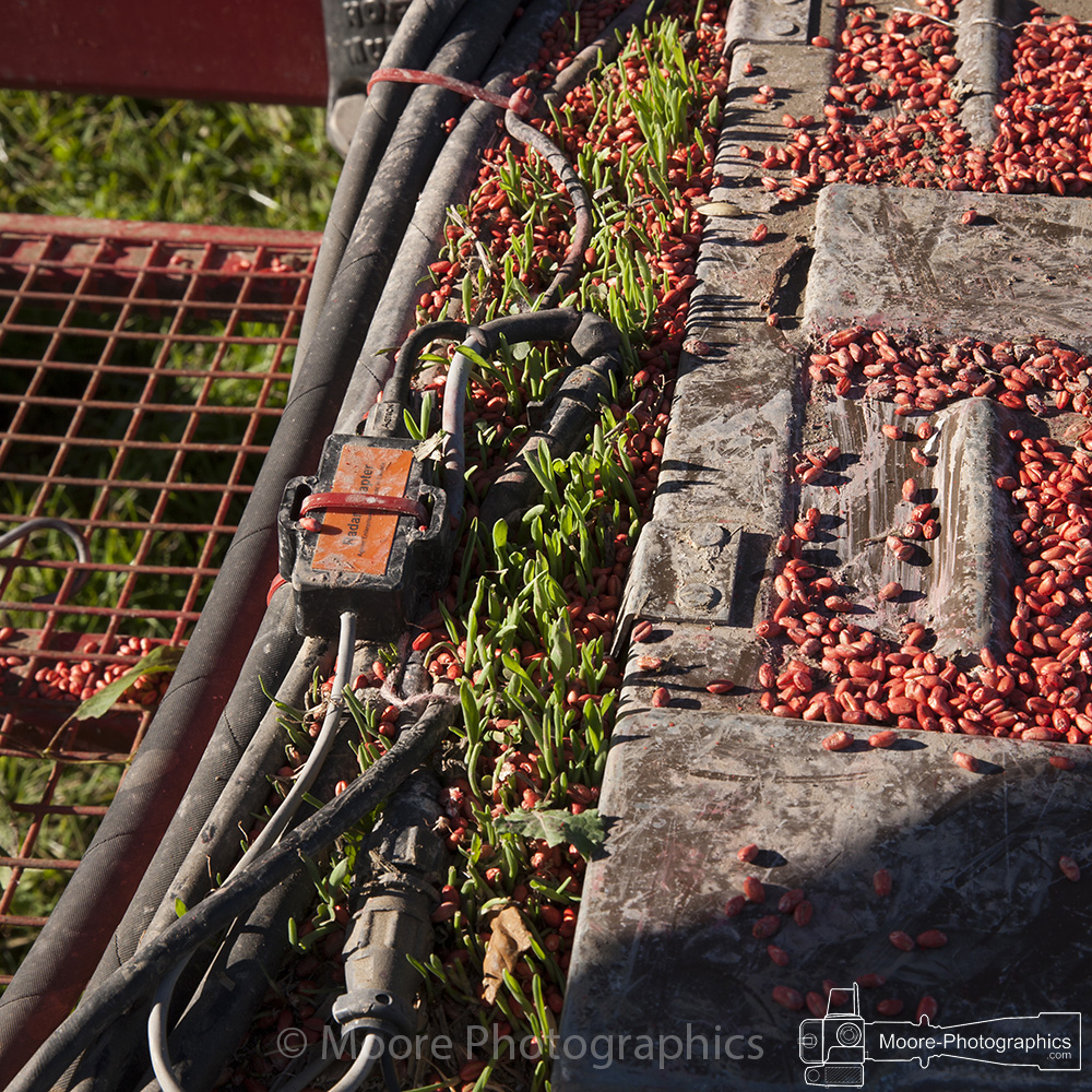 Moore Photographics - Agricultural Photography