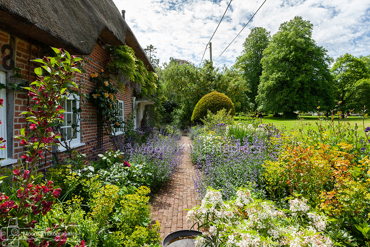 Moore Photographics - Landscape and Garden photography